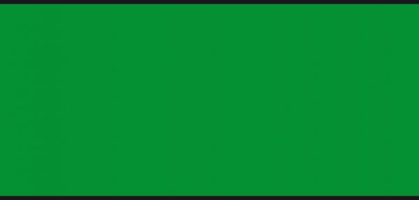 P875 N